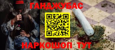 гидра Кандалакша