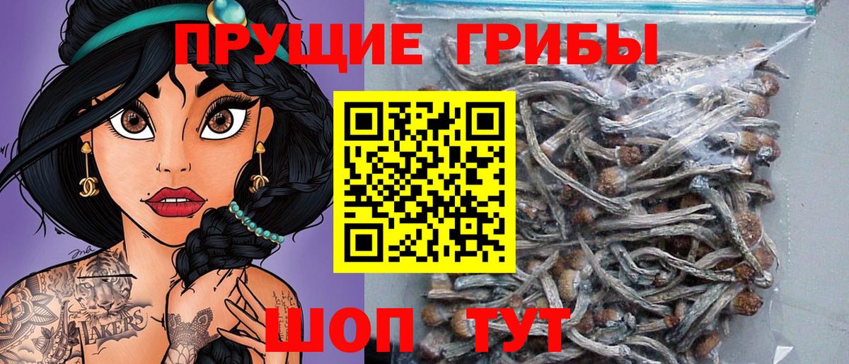 Галлюциногенные грибы мухоморы Керчь